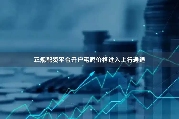 正规配资平台开户毛鸡价格进入上行通道