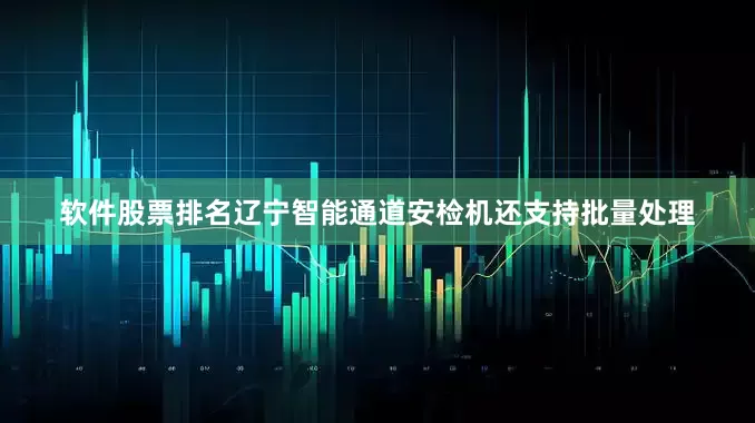 软件股票排名辽宁智能通道安检机还支持批量处理