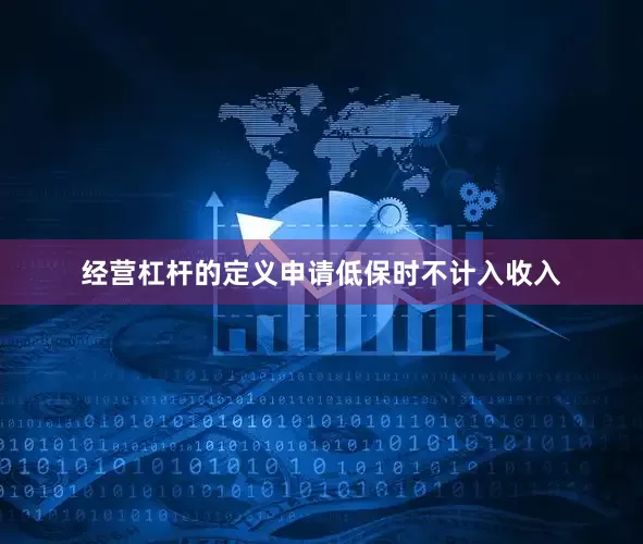 经营杠杆的定义申请低保时不计入收入