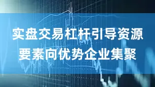 实盘交易杠杆引导资源要素向优势企业集聚
